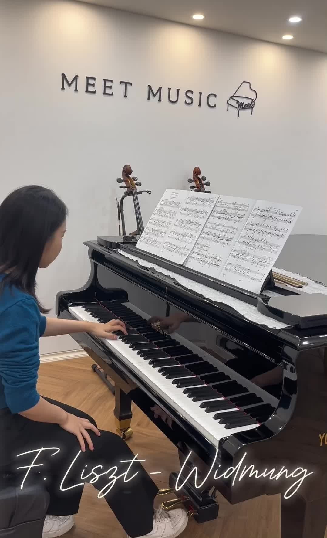<곡 추천 | R. Schumann, F. Liszt -Widmung >